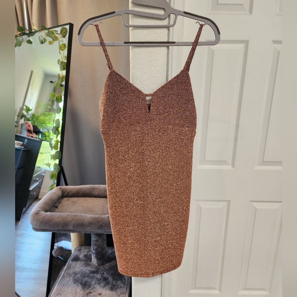 Bodycon Rust Dress